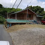 Cottage Mango
