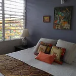 Neita\'S Nest