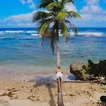 Little Diamond, Wooden Jungle House. Bathsheba.