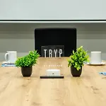 Tryp By Wyndham Aruba (Adults Only)