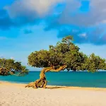 Beachfront - Ocean Comfort 2Br Condo - P216