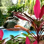 Sunrise Beach Club And Villas - Paradise Island