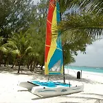 Almond Casuarina Beach