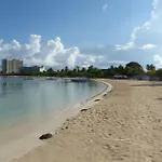 Turtle Towers
