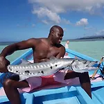 Fish Tobago Hostel