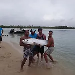 Fish Tobago Hostel