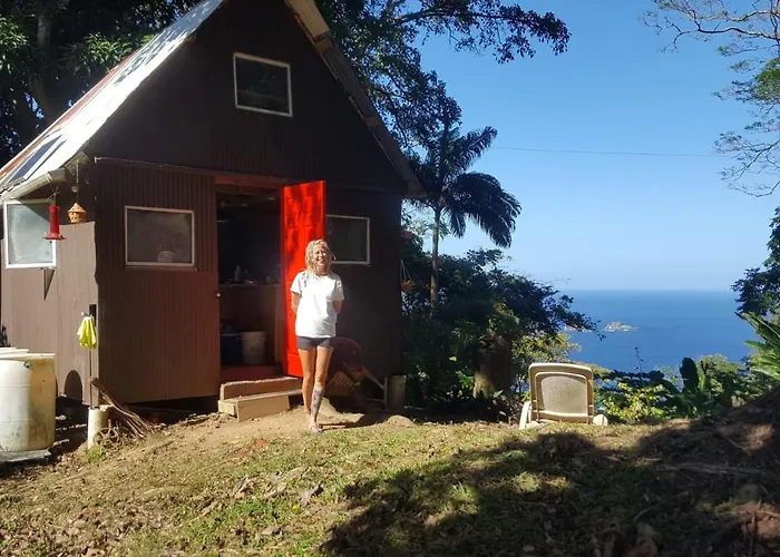Tony\'S Offgrid Cabin Getaway