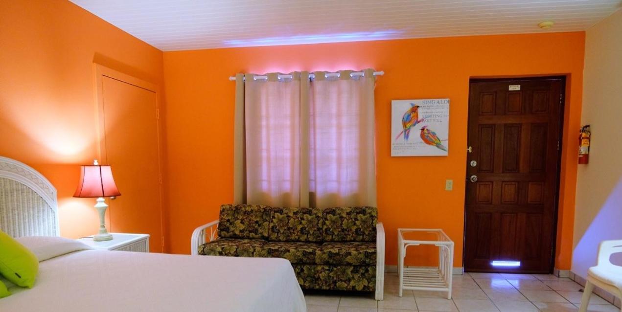 Aruba Quality & Palm Beach