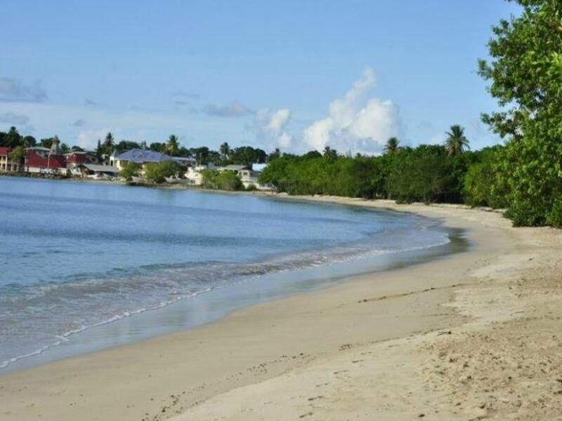 Fish Tobago Guest house