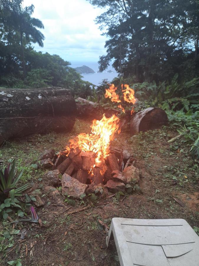 Tony's Offgrid Cabin Getaway *