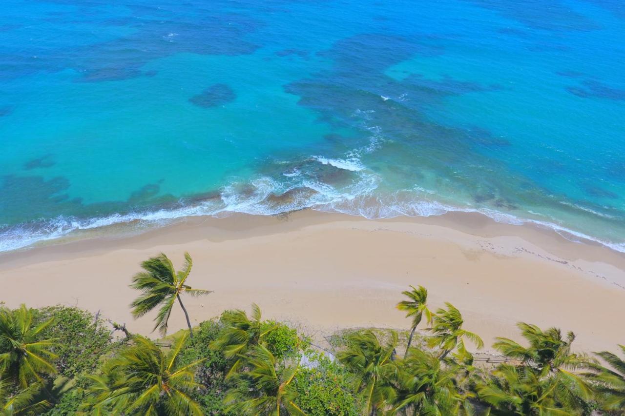 Sea Horse Ranch Villas By Calisto Stays * Cabarete