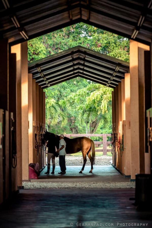 Sea Horse Ranch Villas By Calisto Stays * Cabarete