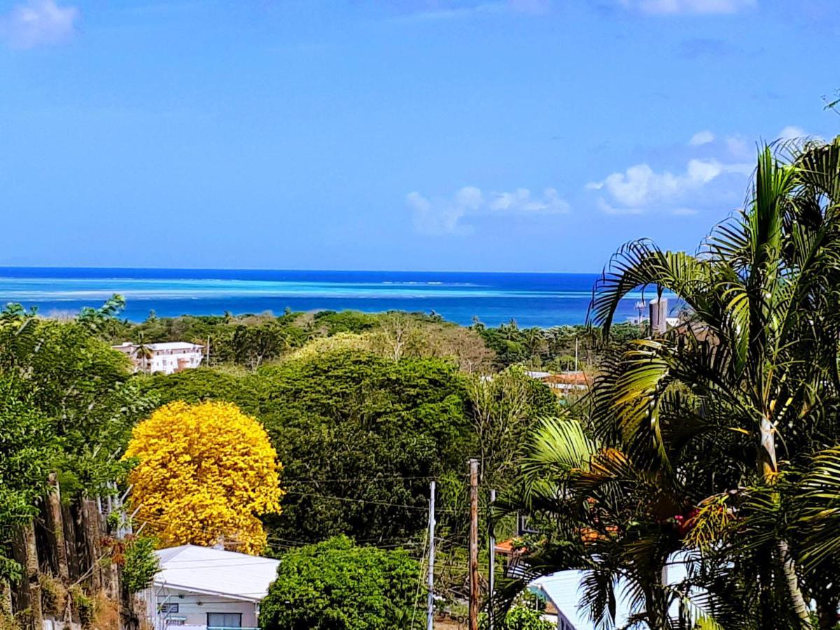 Apartment The Nest Tobago