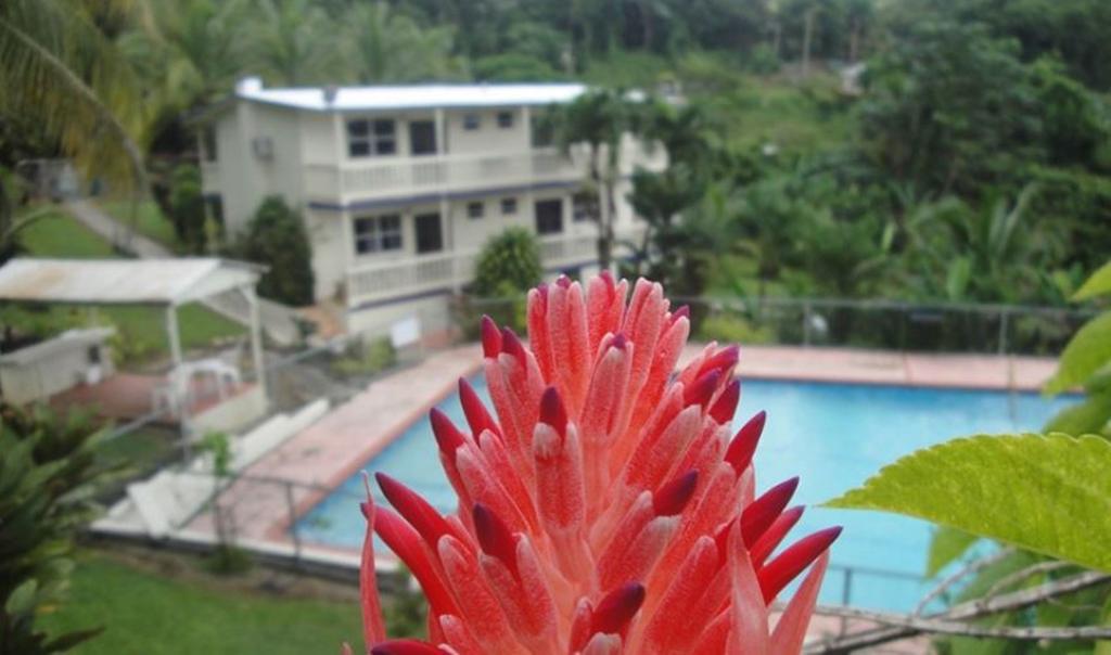 Hacienda Moyano Guest house