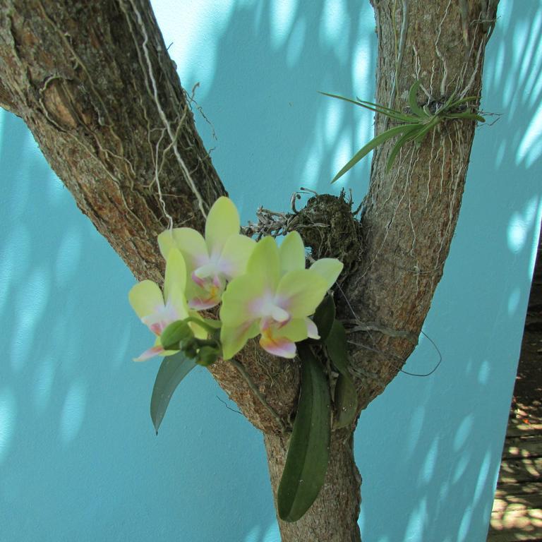 Culebra Island Villas Guest house Isla Culebra