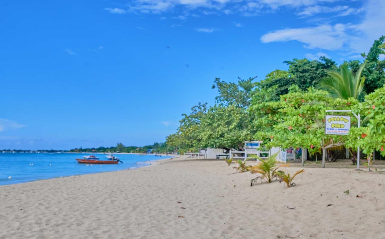 Hotel Yellow Bird Sea Negril