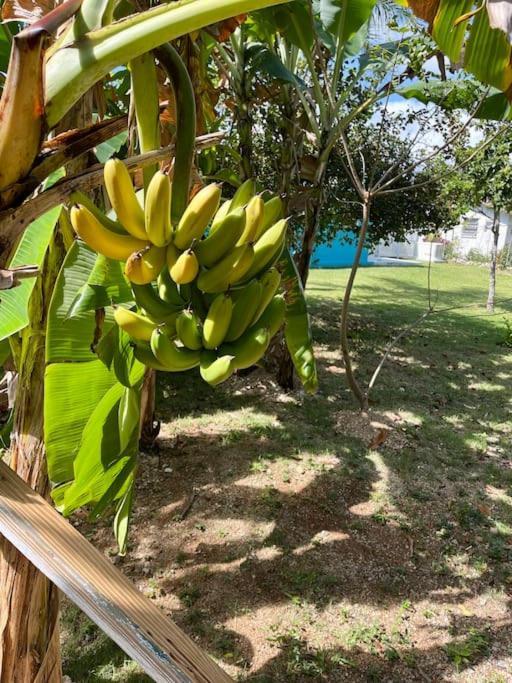 Apartamento Dawson's Hideaway Nassau