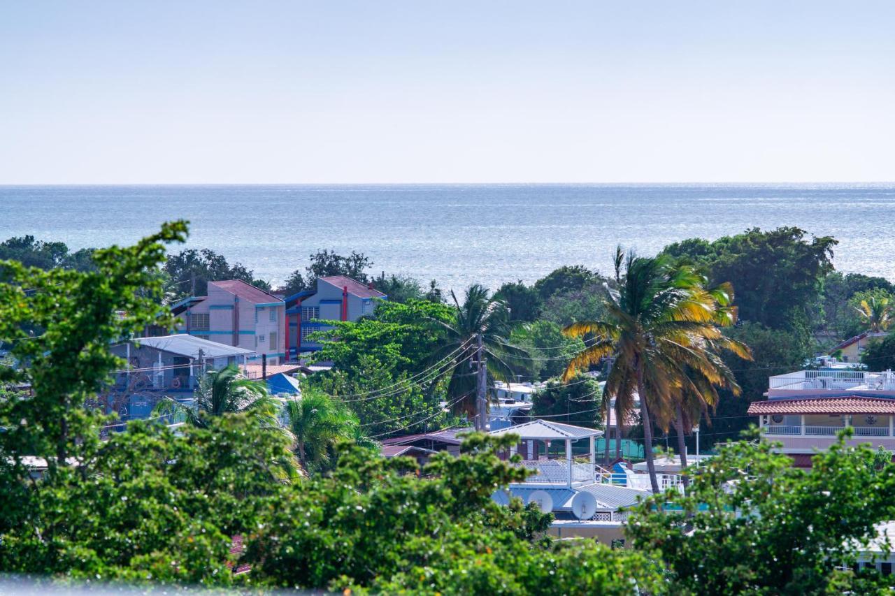 Marlyn Cabo Rojo