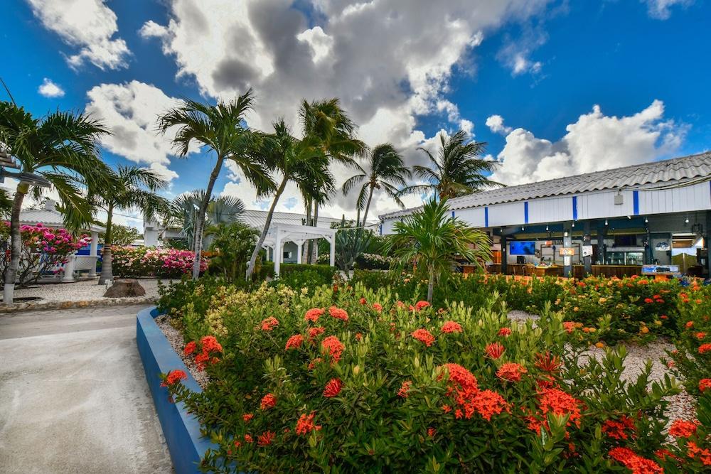 Aruba Blue Village And Hotel Palm Beach