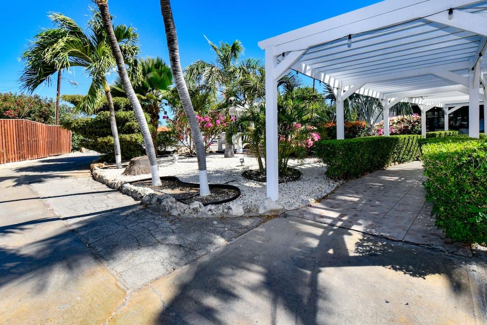 Aruba Blue Village And Palm Beach