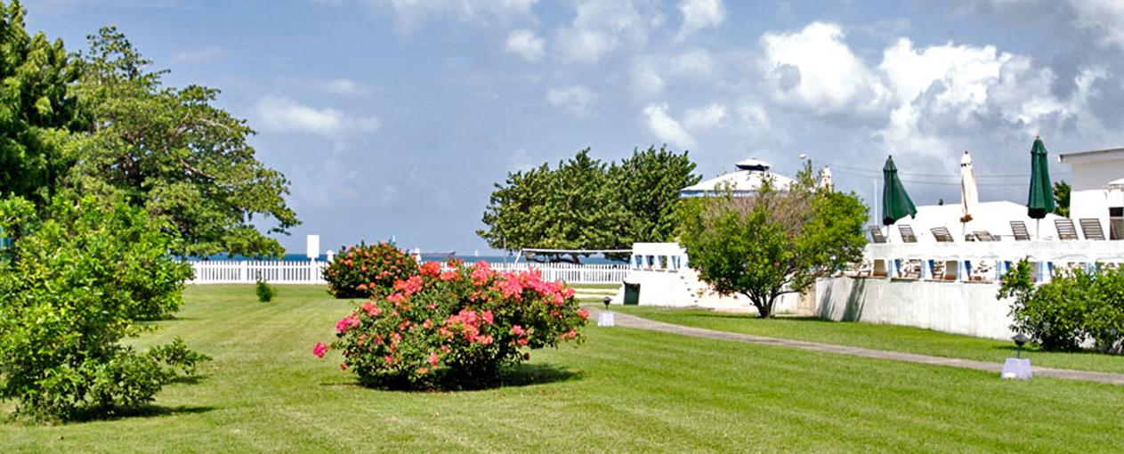 Allamanda Beach