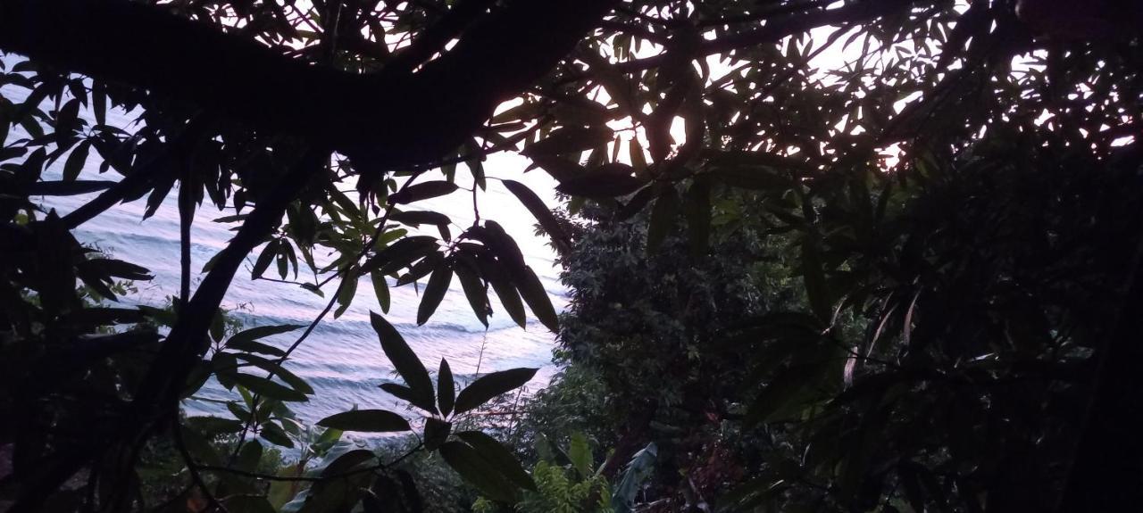 Apartamento Treehouse Above The Port Antonio