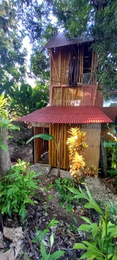 Apartamento Treehouse Above The