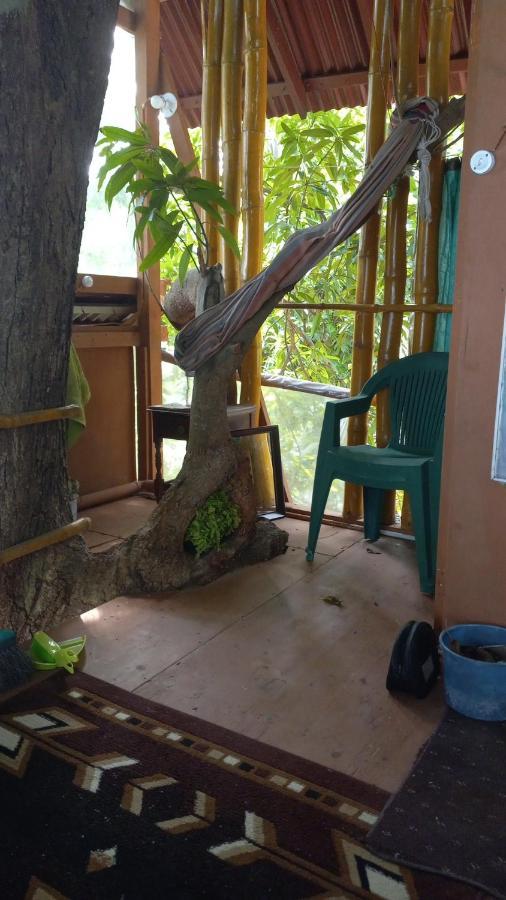 Apartamento Treehouse Above The Port Antonio