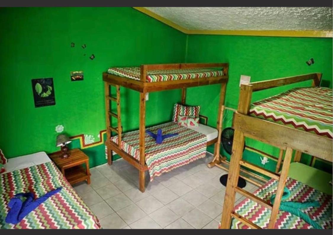 Go Natural Jamaica Guest house Long Bay