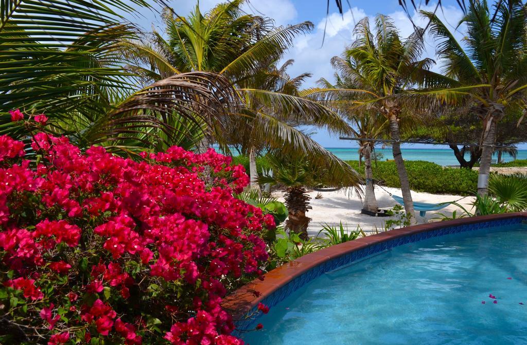 Apartamento Beach House Aruba Apartments