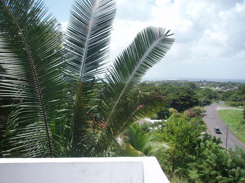 The Nest Tobago