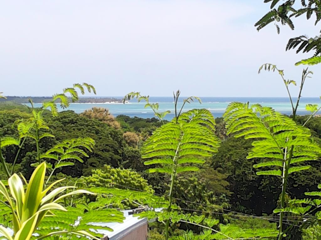 The Nest Tobago *