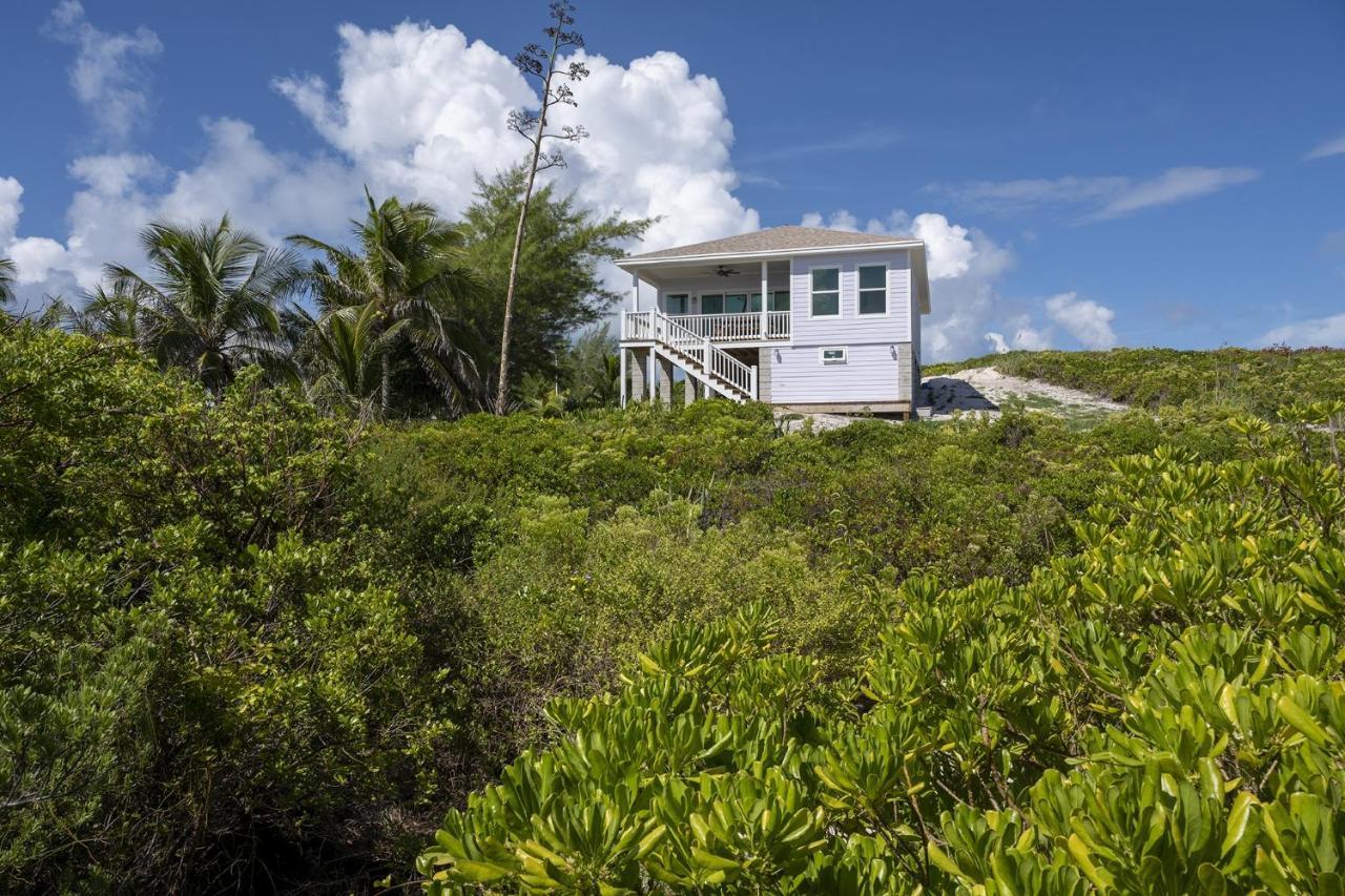 Lavender Beach House