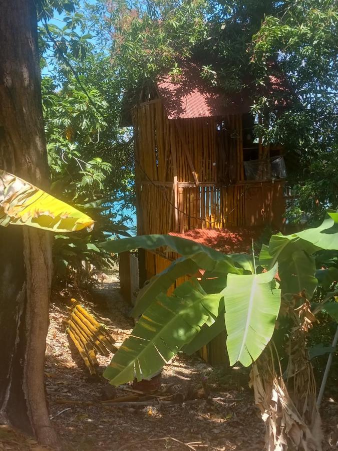 Treehouse Above The Apartamento *