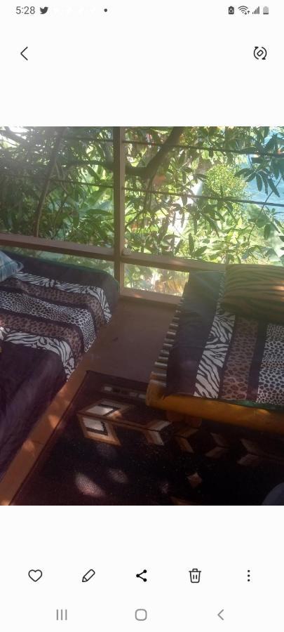 Treehouse Above The Apartamento