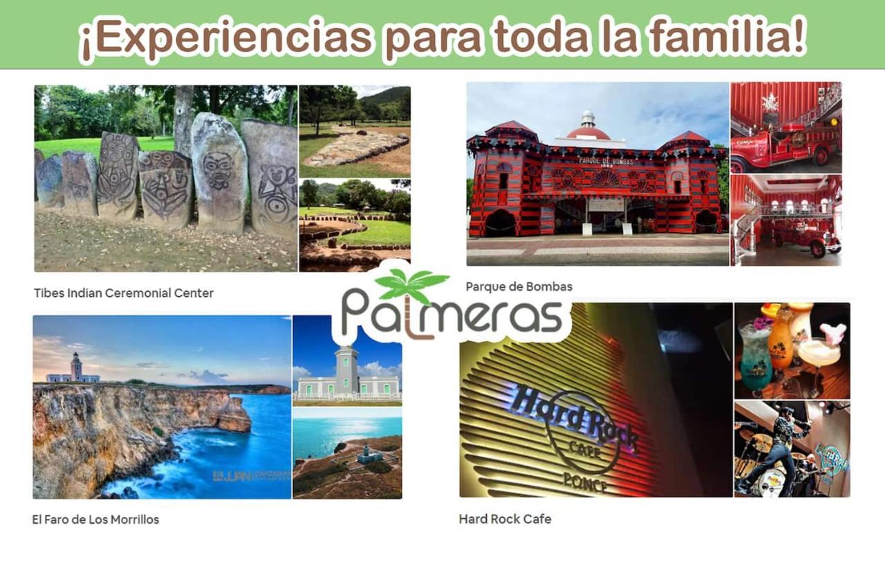 Palmeras - Playa Santa *