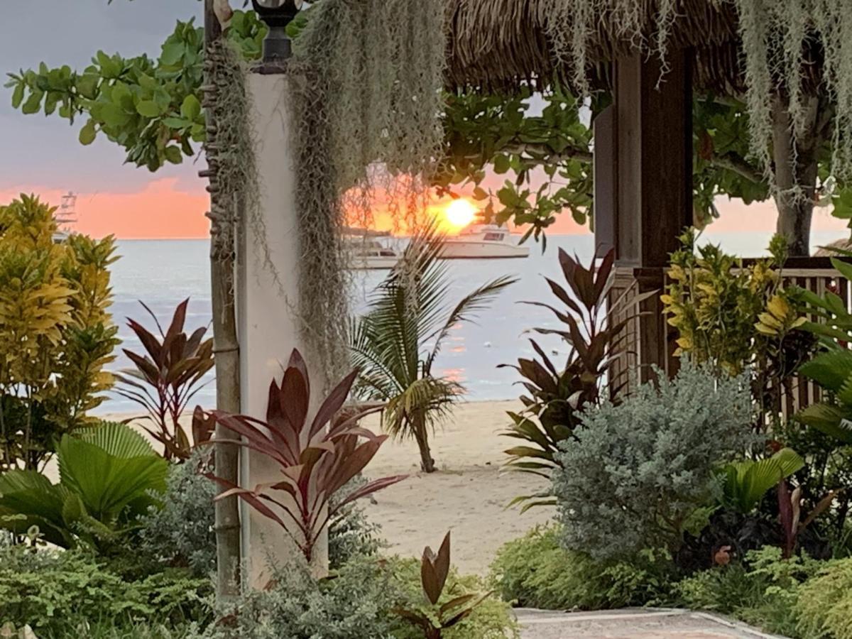 Pousada King At Oceanview In Jamaica - Enjoy 7 Miles Of White Beach! *