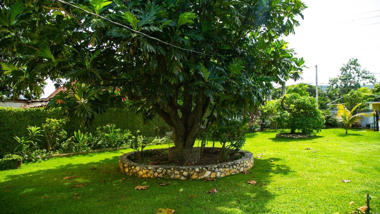 House Of Erabo Runaway Bay