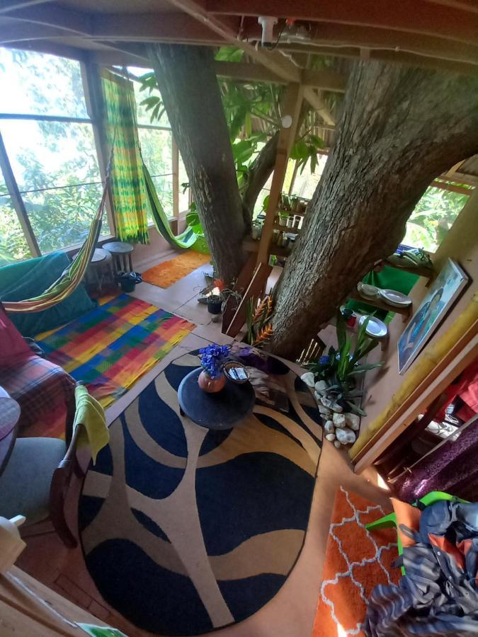 Apartamento Treehouse Above The