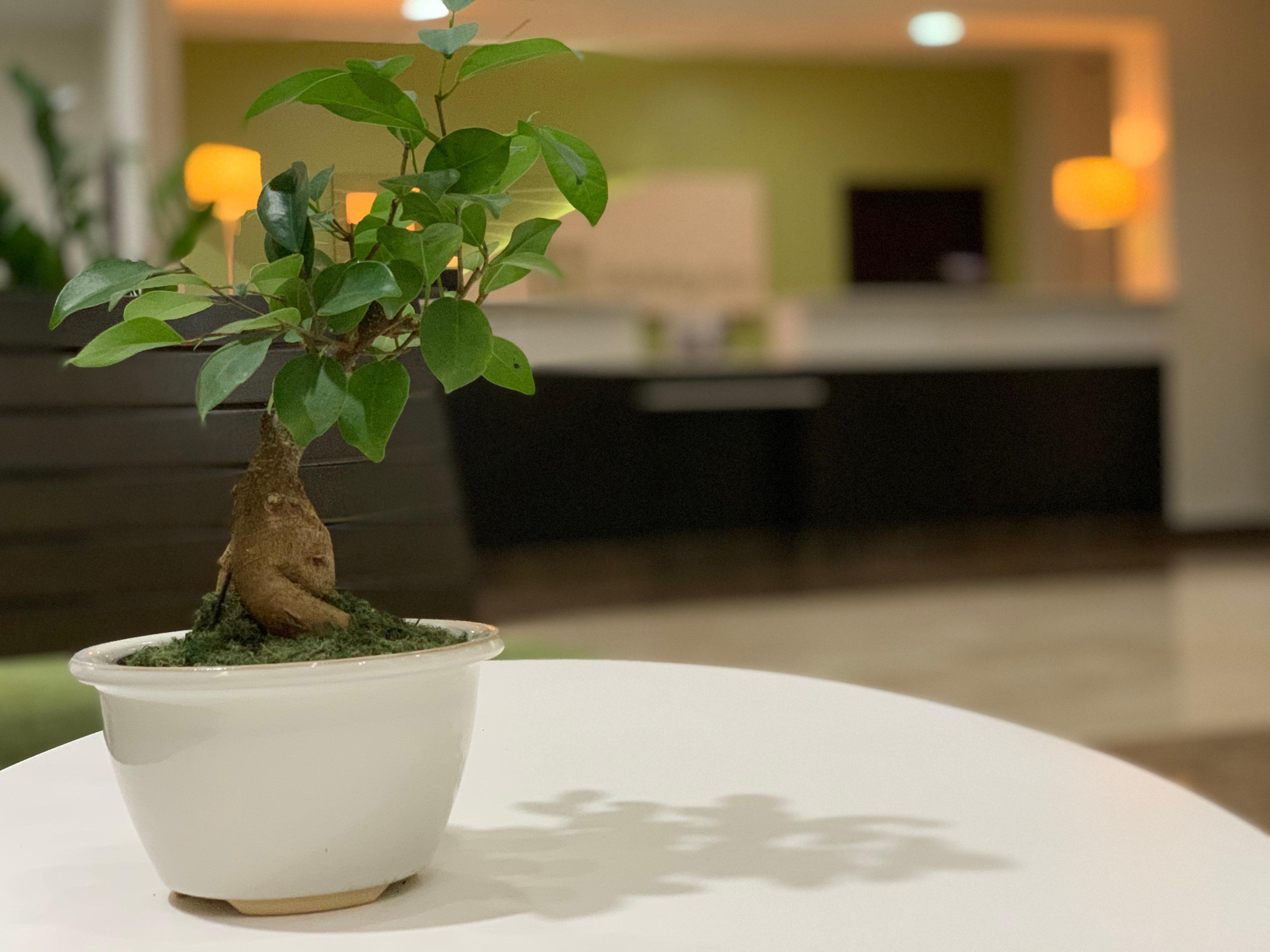 Holiday & Tropical Casino By Ihg 3*