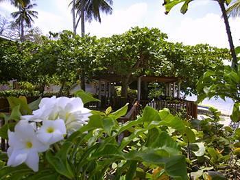 Antonio Hotel 2*