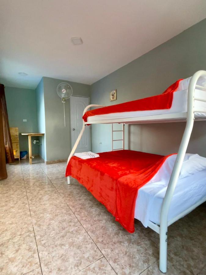 Wing Camp * Cabarete