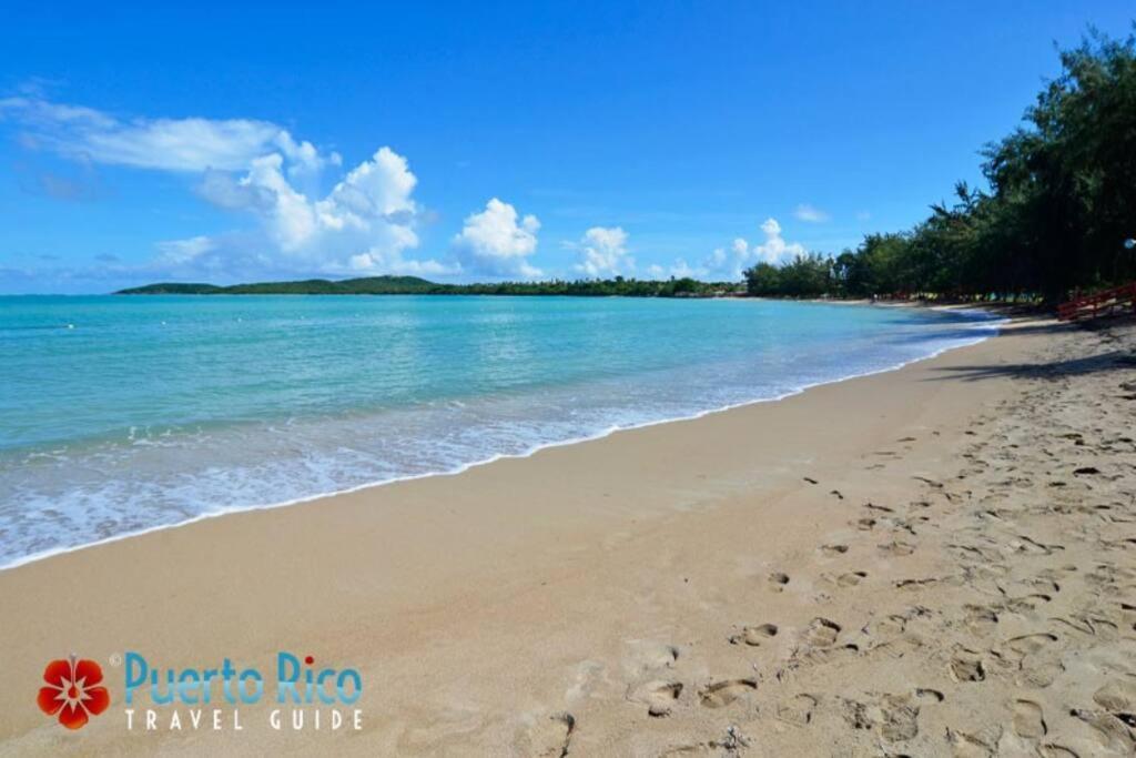 Serene Coastal Getaway With Panoramic Ocean View Apartamento