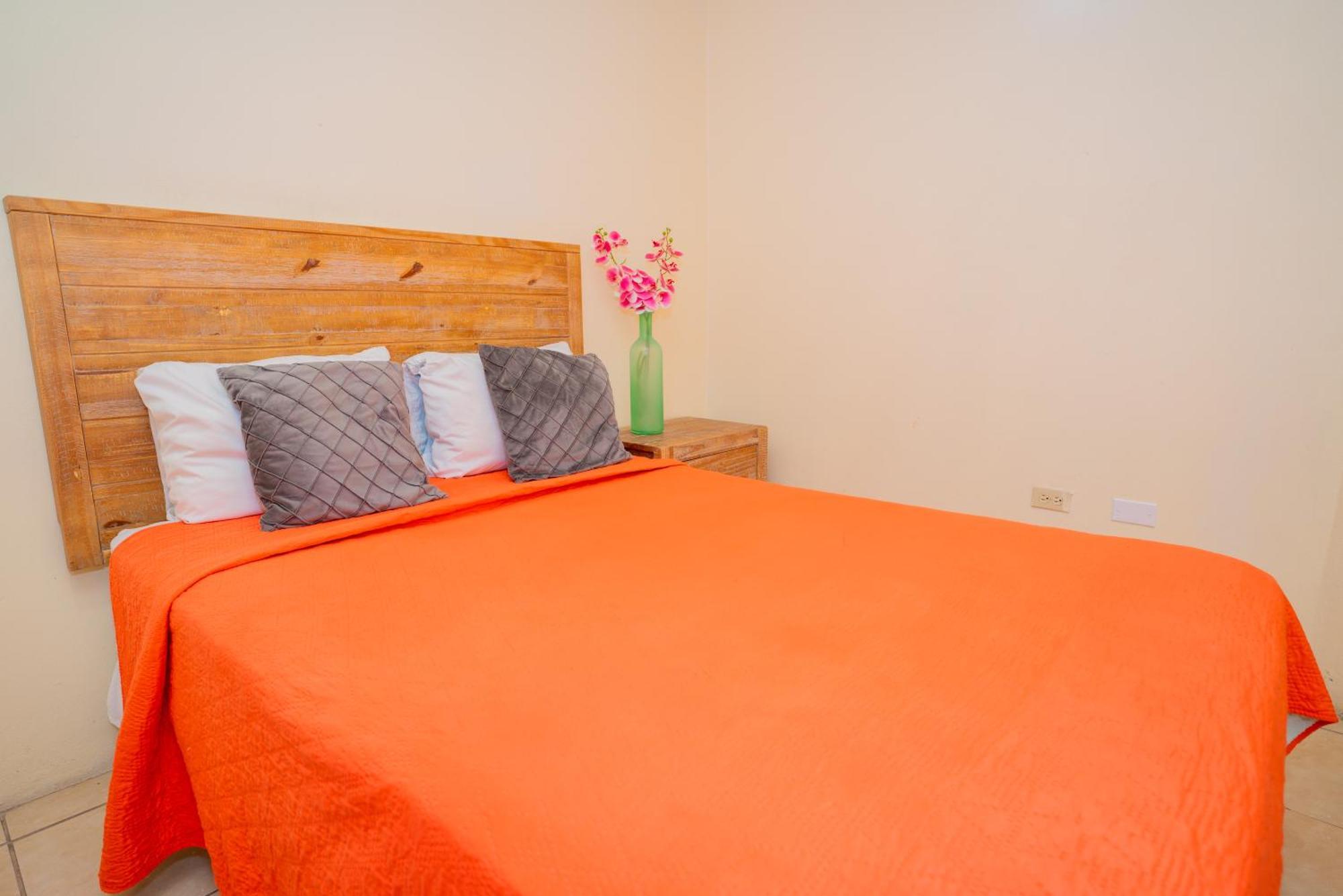 Connie's Comfort 3*