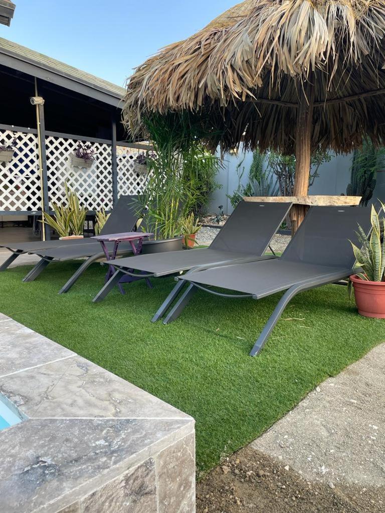 Palmhouse Aruba 1- 4 Persons Apartment Savaneta