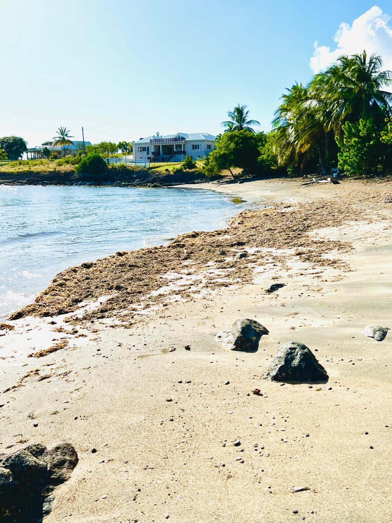 Apartment Sealavie - Grenada *