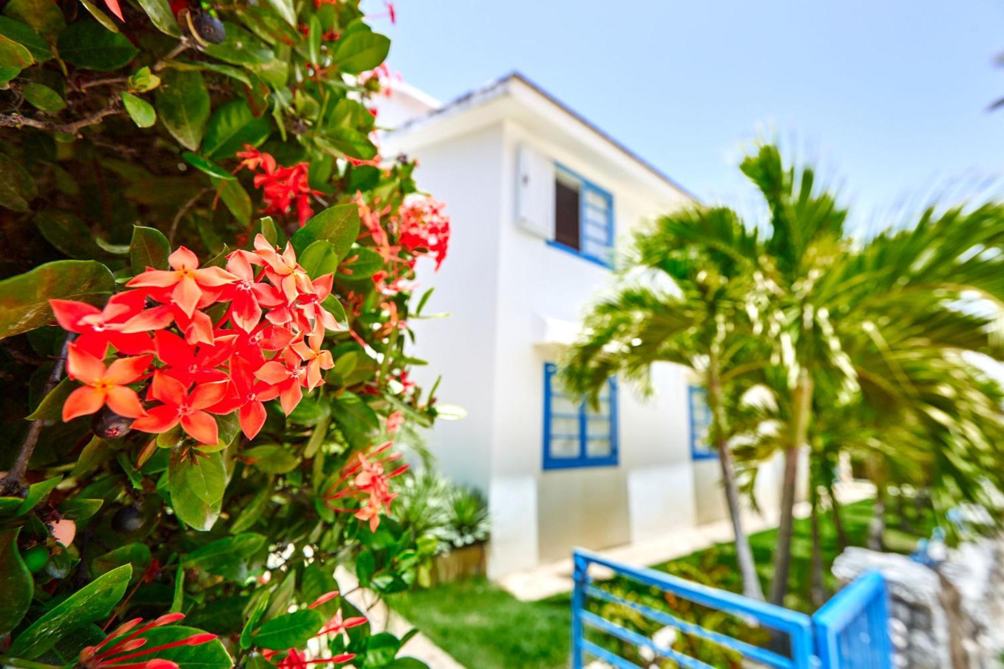 Pousada La Flor Del Caribe & Punta Cana
