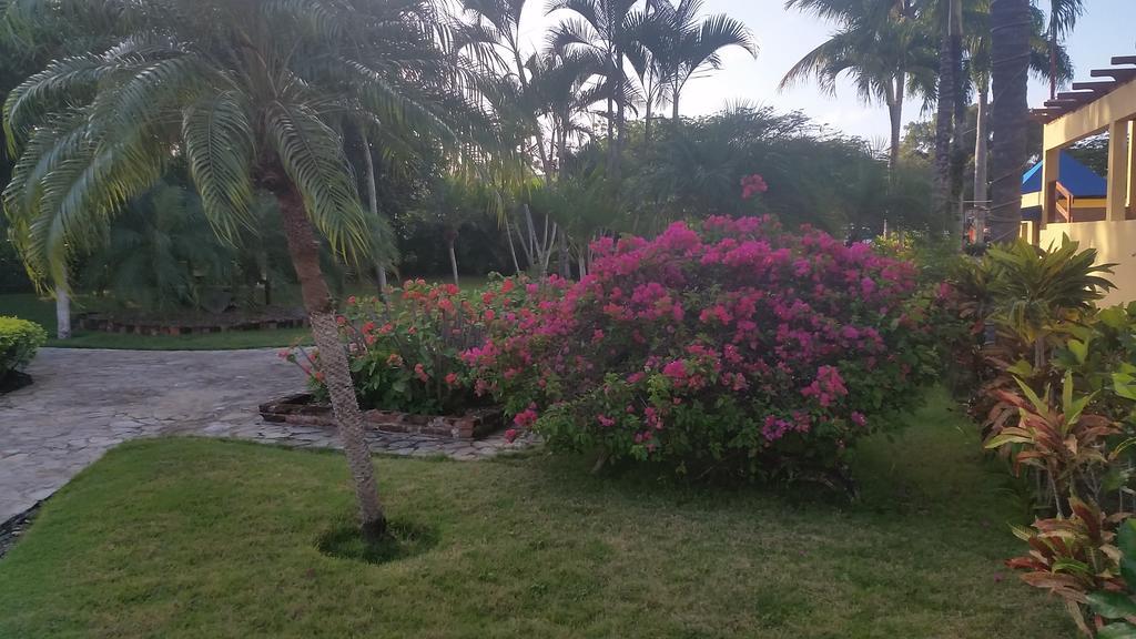 The Garden Apartment