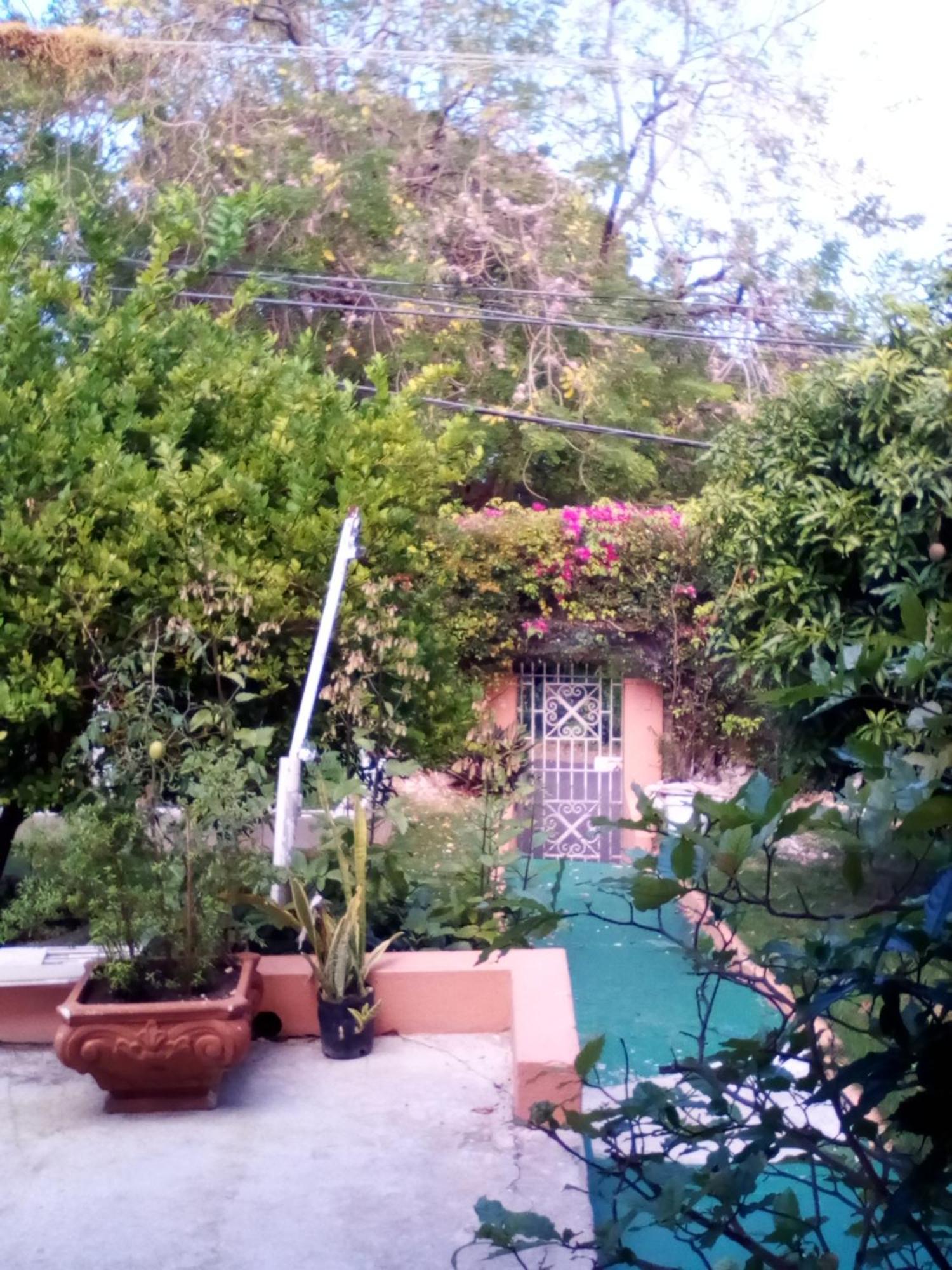 Bed & Breakfast Castle Vue