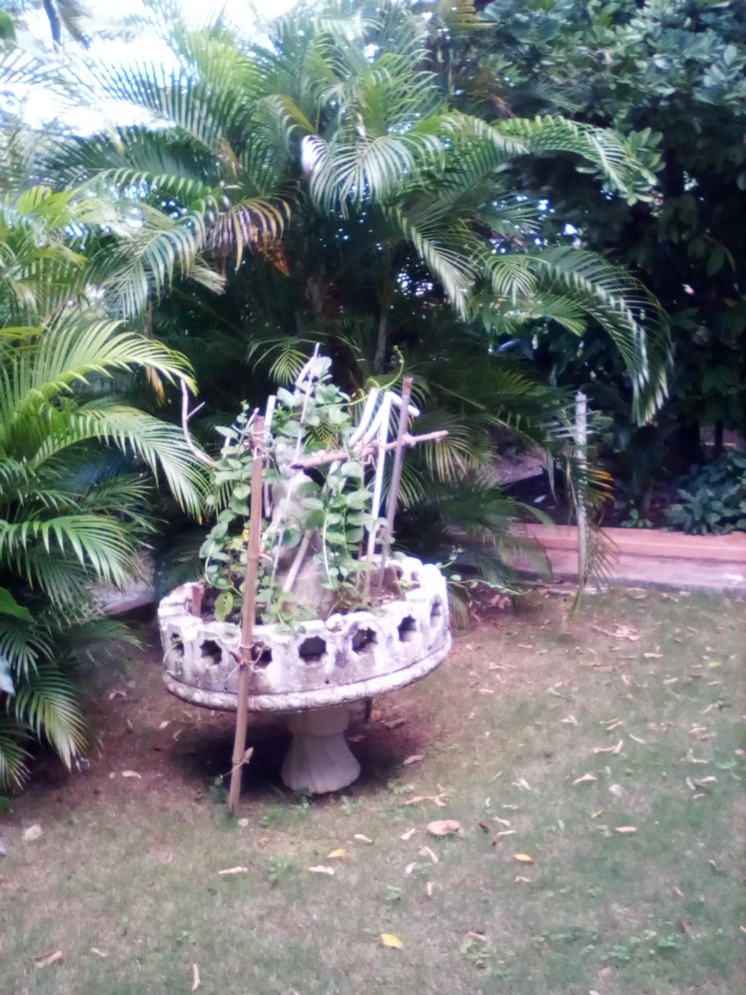 Castle Vue Bed & Breakfast Montego Bay